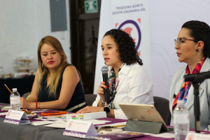 PRESENTA IEEM EL DOCUMENTO: ROMPER PREJUICIOS ¿CÓMO HABLAR DE LENGUAJE NO BINARIO EN EL ÁMBITO POLÍTICO?
