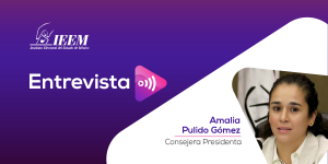 El IEEM revisó a conciencia expedientes de los aspirantes a candidaturas: Amalia Pulido Gómez en entrevista con Mario García