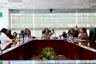 PROGRAMA EDITORIAL 2026 DEL IEEM:  DIVERSO Y ESTRATÉGICO