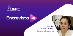 Encontré un Instituto fuerte, con personal profesional y con experiencia: Amalia Pulido Gómez en entrevista con Joel Morales Bravo