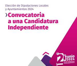 CONOCE LOS REQUISITOS PARA OBTENER  UNA CANDIDATURA INDEPENDIENTE