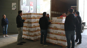 EN 2025, IEEM ENTREGÓ MÁS DE 300 TONELADAS DE PAPEL  PARA SU RECICLAJE Y PERMUTA POR PAPELERÍA INSTITUCIONAL