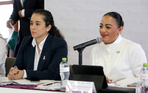 REALIZAN EN EL IEEM SESIÓN EXTRAORDINARIA DEL OBSERVATORIO DE PARTICIPACIÓN POLÍTICA DE LAS MUJERES EN EL ESTADO DE MÉXICO