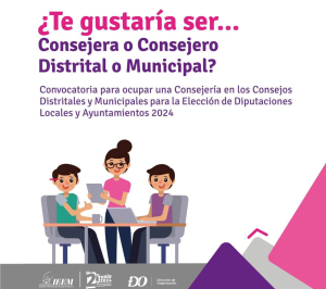 CON 18 AÑOS ES POSIBLE OCUPAR UNA  CONSEJERÍA DISTRITAL O MUNICIPAL DEL IEEM