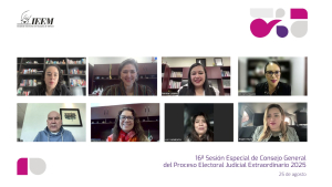 IEEM ACATA SENTENCIA DEL TEPJF